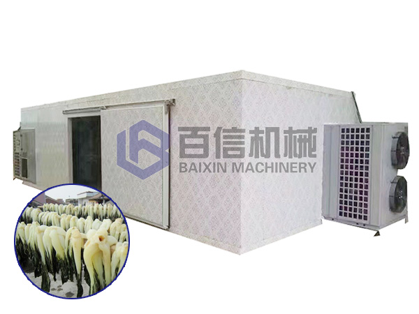 白菜烘干機(jī)