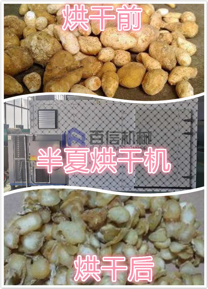 半夏烘干機(jī)